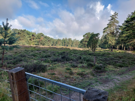 Startplaats wandelen Staatsbosbeheer