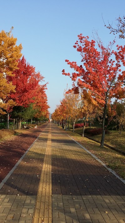 Photos of 새암공원