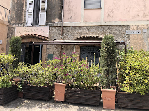 ristorante la vecchia cantina - Thumbnail