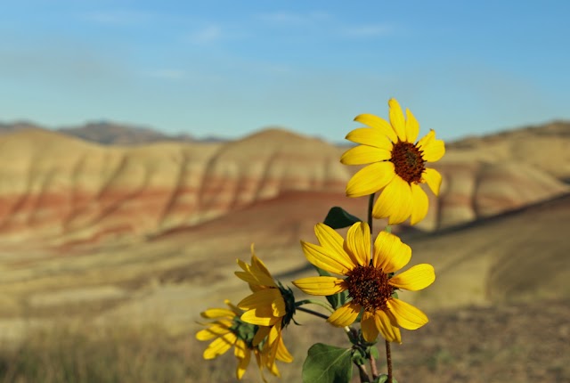 Painted Hills