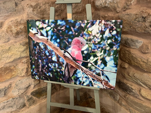 North Star Hotel by null