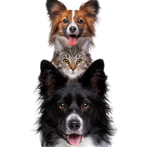 Heaven 4ur Pet Texas - Thumbnail