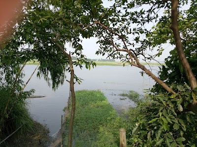 Photos of Nabipur Dakhinpara Jame Masjid