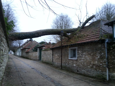 Au Coeur des Arbres 25 Rue d'Elleville, 78790 Hargeville, France