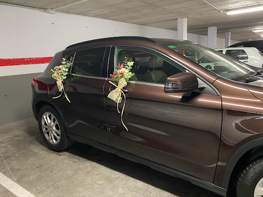 EcoCarClean. Limpieza de coches a domicilio