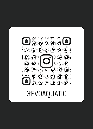 Evoaquatic - Visual