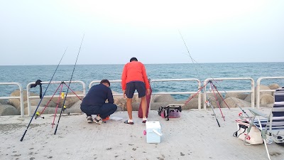 Photos of 물치항