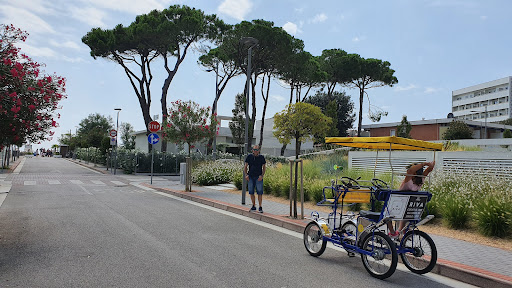 Piazza Nember - Visual