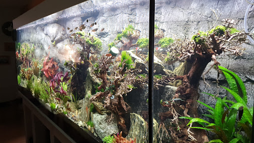 Jeko-Aquaristik - Thumbnail