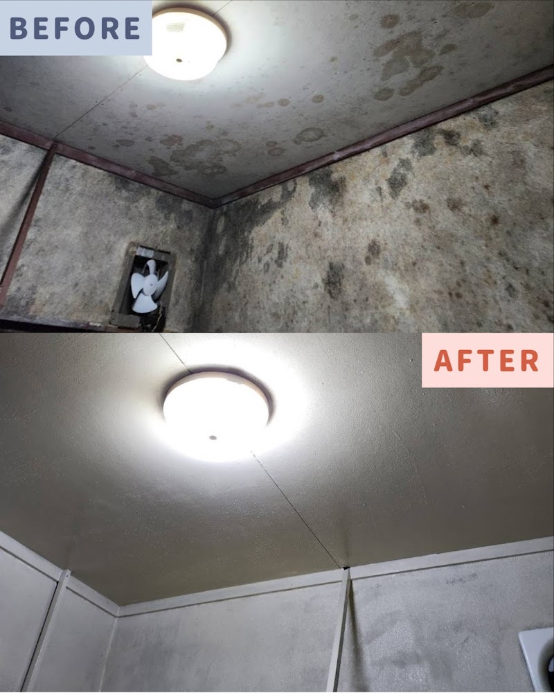 便利屋ねこの手