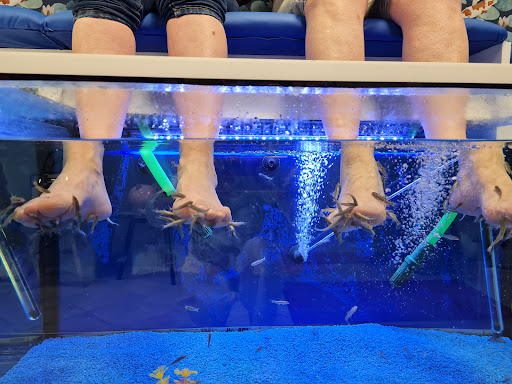 My Fish Spa