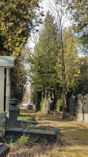 Neuer Israelitischer Friedhof München - Thumbnail