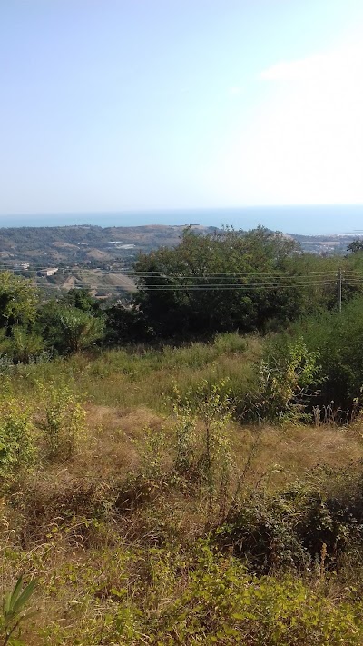Photos of Abbadetta Hotel San Benedetto del Tronto