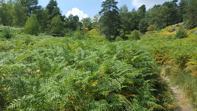 Parking des Gorges d'Apremont