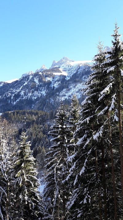Photos of Champ&eacute;ry Aventure Team Parc