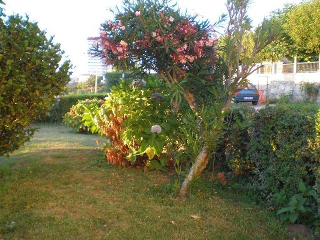 Restaurante Os Da Ponte