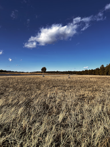 Marshall Lake - Thumbnail