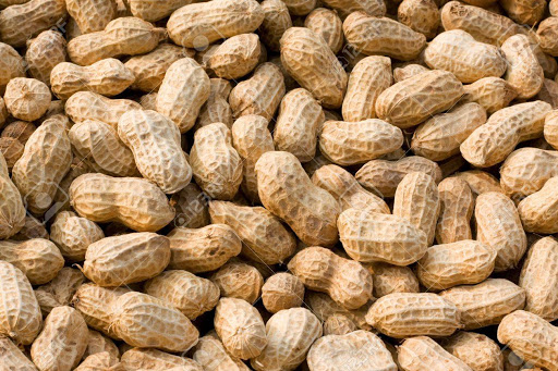 American Peanut Growers Group, LLC