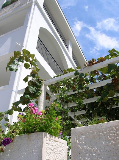 Photos of Villa Mila