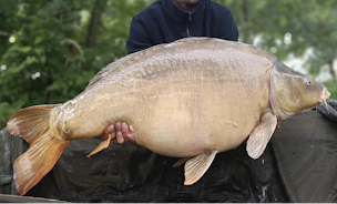 Photo n°13 de Camping Le Parc de Launay à Souvigné (Terrain de camping)