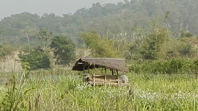 Photos of Ishwarganj Bisweswari Pilot High School