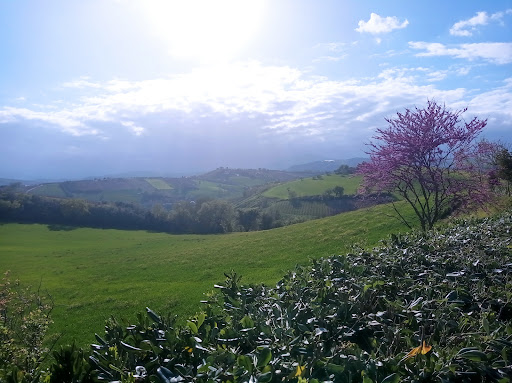 Villa San Lazzaro - Eventi