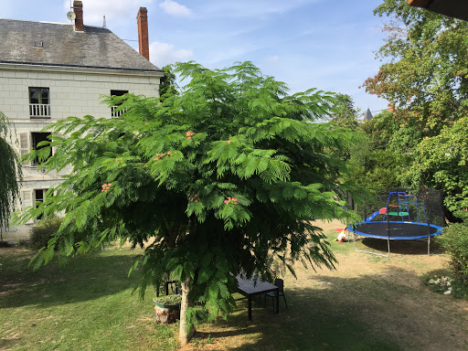 Photo de Gîte du Moulin de Courcueil à Écueillé (36240)