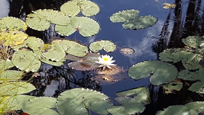 Photos of Banks Lake National Wildlife Refuge