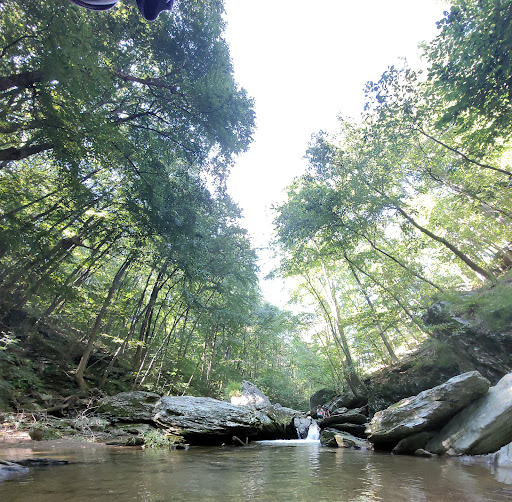 Theodore A. Parker III Natural Area Lower Parking Lot Gallery - United States