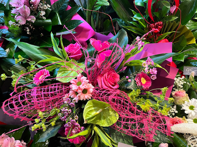 Comentarii opinii despre Aga Flowers
