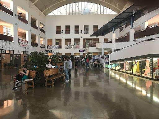 Facultad de Ciencias de la Educación, Universidad de Málaga - Thumbnail