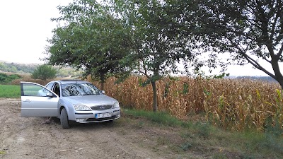 Photos of AKOVA petrol ve petrol &uuml;r&uuml;nleri t&uuml;revleri, emlak & mimarlık, Ertuğrul IŞIK