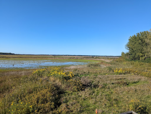 Montezuma National Wildlife Refuge - Thumbnail