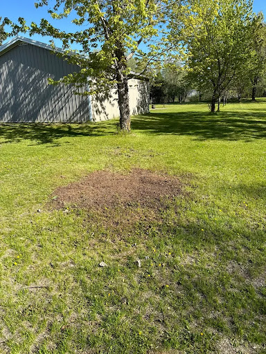post-image-2
