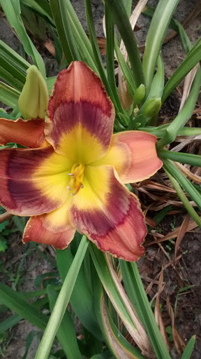 Union Road Veterans' Park Gallery - United States