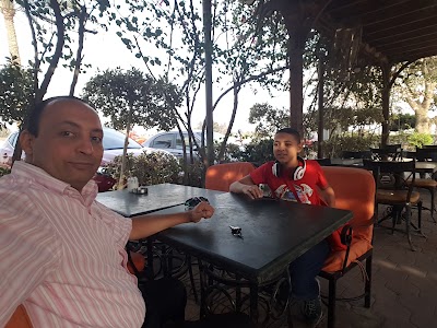 Photos of مزارع دينا
