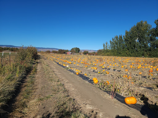 Jensen Farms Gallery - United States