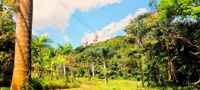 Photos of Rainforest Zipline Park