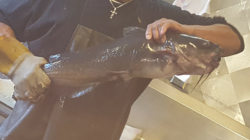 Fair Deal Live Fish - Thumbnail