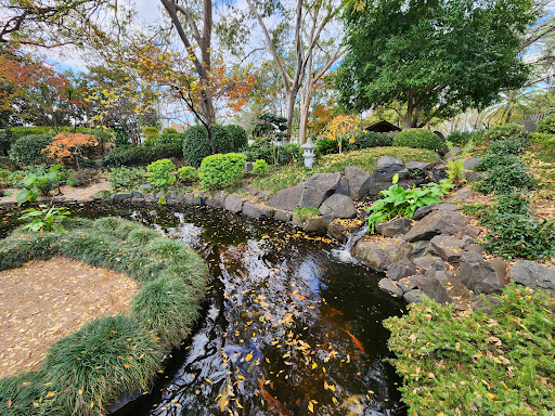 Japanese Garden and Tea House at Campbelltown Arts Centre - Thumbnail