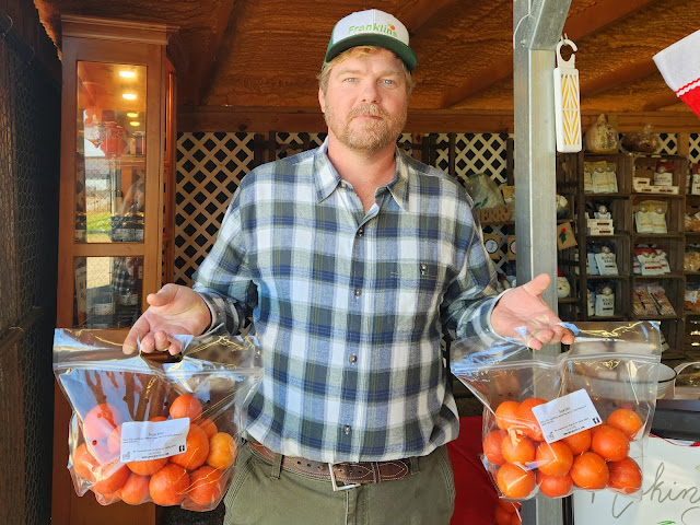 Franklin's Farm by null