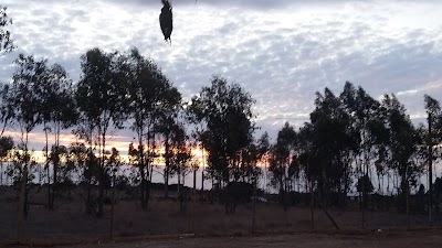 Photos of Las Dichas Lodge
