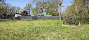 Photo n°25 de élagage DESIERREY ( DRB) à Saint-Denis-de-Pile (Service de nettoyage et d'entretien)