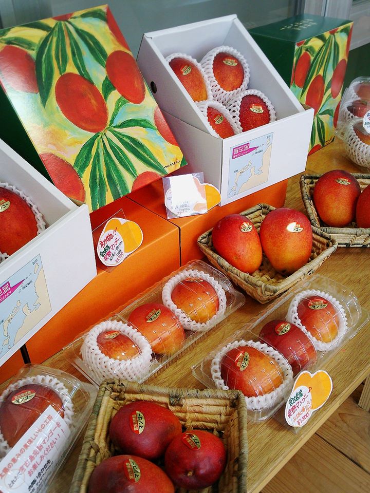 ティダファクトリ Shop&Cafe