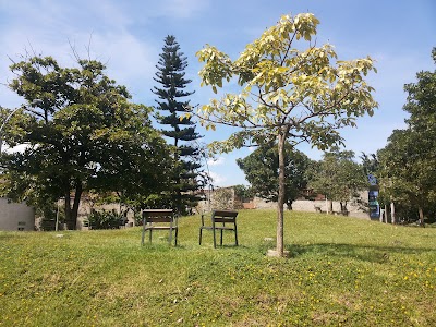 Photos of Bel&eacute;n Library Park