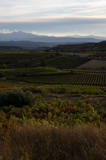 Bodegas Bello Berganzo - Thumbnail