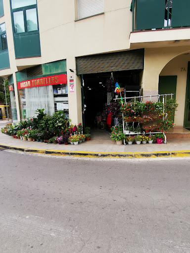 Basar Torrelles