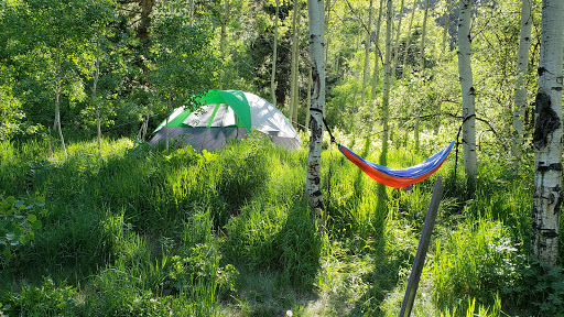 Silver Bar Campground - Thumbnail