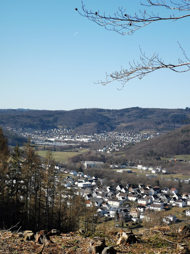 Brommelsäche - Visual
