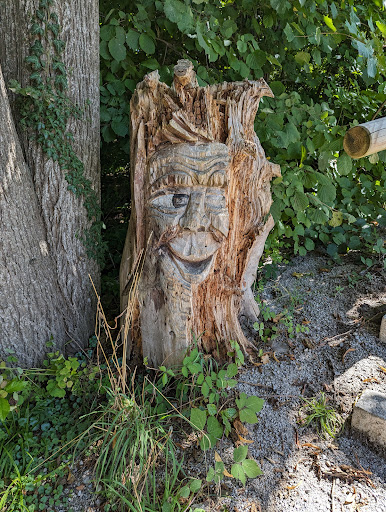 Der Zauberwald - Thumbnail